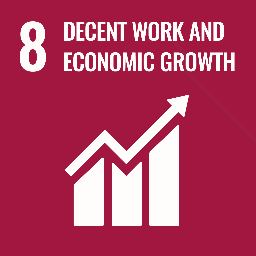 SDG 8